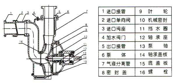 ZW型自吸式無堵塞排污泵（結構圖）